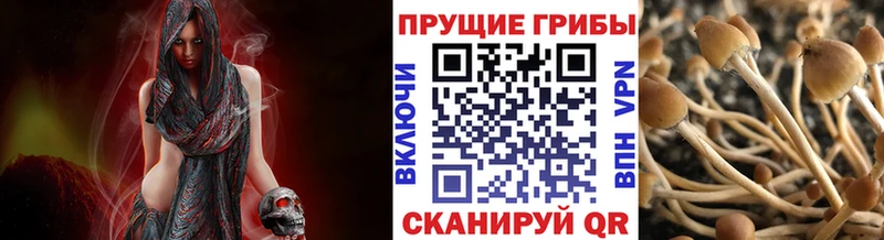 omg ТОР  мориарти формула  Галлюциногенные грибы мицелий  Черемхово 